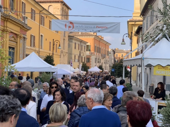 Si alza il sipario sulla Fiera Nazionale del Tartufo di Pergola