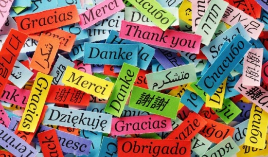 Siete appassionati di lingue straniere? Vicolocorto offre gratuitamente conversazioni su Skype con le volontarie europee