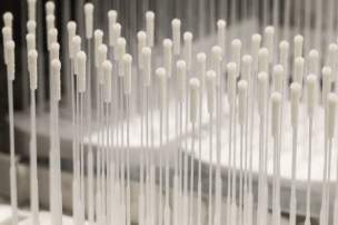 Coronavirus Marche, i nuovi positivi oggi sono 11 su 321 diagnosi effettuate