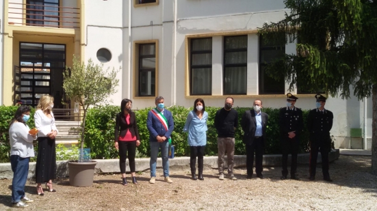Alla scuola "Corridoni" di Fano un ulivo in memoria di Giovanni Falcone