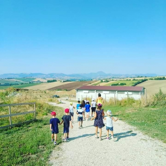 C'è stato un importante incremento per i centri estivi e fattorie didattiche in campagna