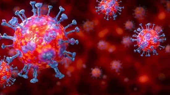 Coronavirus: 1 positivo nella provincia di Pesaro e Urbino, 1 ad Ancona e 1 a Fermo