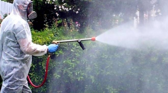 Oggi e domani disinfestazione zanzara tigre a Terre Roveresche