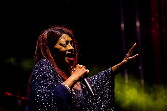 Disco Diva Limited Edition è stato un successo di musica e solidarietà