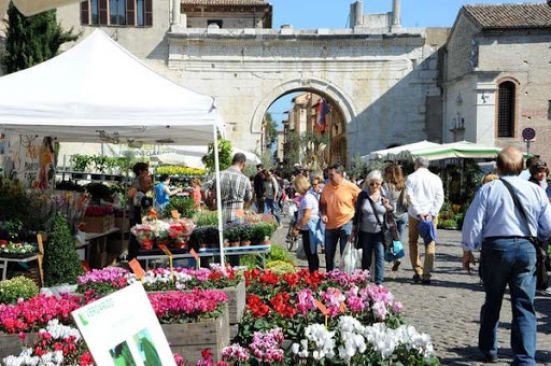 Il Pincio di Fano diventa un giardino a cielo aperto con la Festa dei Fiori