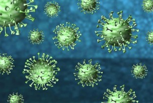 Coronavirus Marche: nelle ultime 24 ore 5 nuovi casi positivi su 382 tamponi effettuati
