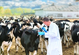 Nonostante il covid, si è concluso il corso Operatore zootecnico nella fattoria sociale ed educativa