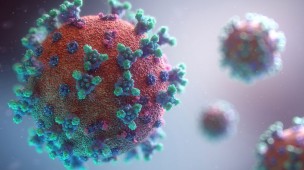 Covid Marche: nelle ultime 24 ore 357 nuovi positivi, 68 in provincia di Pesaro-Urbino