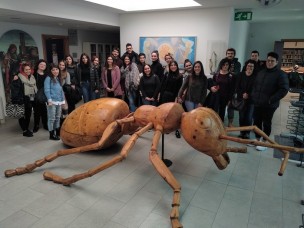 Sono aperte le iscrizioni per il servizio civile dell'ANT