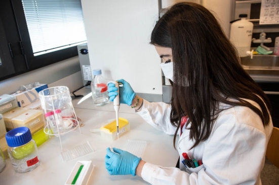 Variante newyorkese, sono due persone della provincia di Pesaro e Urbino: "Già in isolamento, stanno bene"