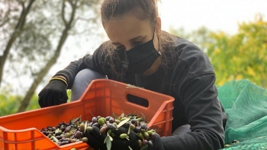 I giovani agricoltori incontrano gli studenti: l'esperienza della 22enne Arianna Bottin all'Istituto Agrario "Cecchi"