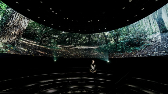 Dopo tanta attesa riapre la Sonosfera, a Pesaro un'immersione unica nei paesaggi sonori delle foreste