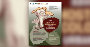 A Urbania i funghi del territorio vengono messi in mostra