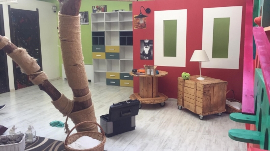 MCS Mobili al cinema, la Cameretta Omnia protagonista del nuovo film "Tutti a bordo" del regista Luca Miniero