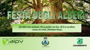 Domani a Gabicce Mare verrà piantato un albero dedicato ai bambini nati nel 2021