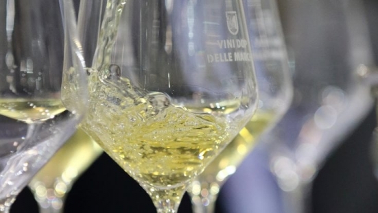 Il Verdicchio dei Castelli di Jesi è il miglior vino bianco del mondo secondo gli esperti di Wine Enthusiast