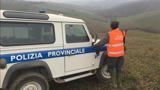E' iniziato l'abbattimento selettivo dei cinghiali nell'Ambito territoriale di caccia di Pesaro 1