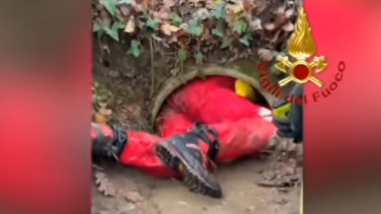 "Disavventura per un cucciolo pesarese e la sua padrona", il salvataggio dei Vigili del Fuoco - VIDEO