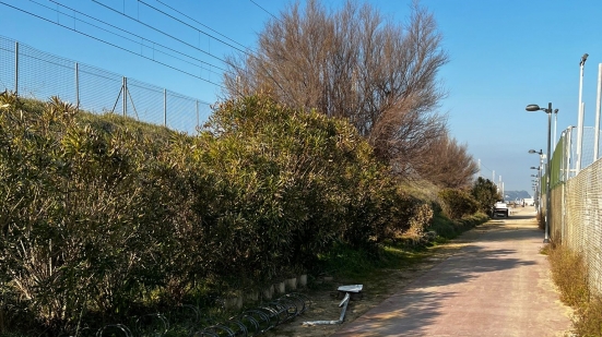 Corridoio ciclabile all'Arzilla, Brunori: "Entro primavera riqualificheremo il tratto a ridosso dei binari ferroviari"