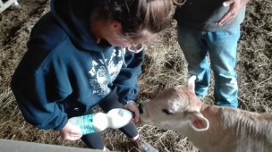 Coldiretti: "Materie prime alle stelle e rincari energetici, la filiera marchigiana del latte ora è alle corde"