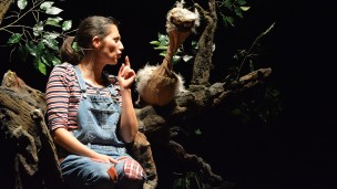 Andar per Fiabe, domenica appuntamento al Teatro Angel dal Foco di Pergola con "L'albero di Pepe" di ATGP