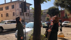 Piazza Marcolini, la giunta comunale di Fano affida uno studio per salvaguardare il verde presente