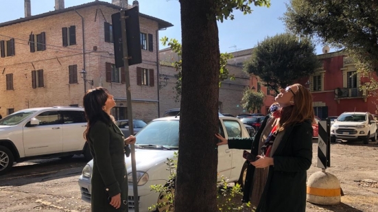 Piazza Marcolini, la giunta comunale di Fano affida uno studio per salvaguardare il verde presente