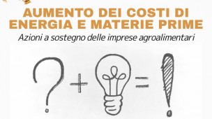 Bollette e rincari delle materie prime, domani iniziativa della CNA di Pesaro con parlamentari e Regione