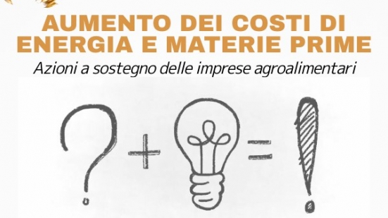 Bollette e rincari delle materie prime, domani iniziativa della CNA di Pesaro con parlamentari e Regione