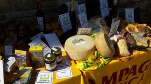 Oltre la metà delle esportazioni dell'agroalimentare marchigiano nel mercato europeo, Germania al 1° posto