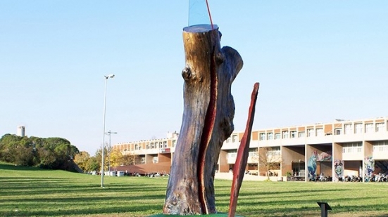 "Dalla memoria al futuro", il percorso dedicato alle vittime del Covid al Campus scolastico di Pesaro