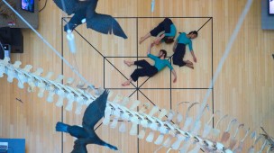 "Residenze digitali", ecco i vincitori della 3° edizione dedicata agli artisti della scena contemporanea