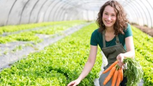 Sempre più giovani in agricoltura, nelle Marche imprese under 35 aumentate del 18% negli ultimi 10 anni