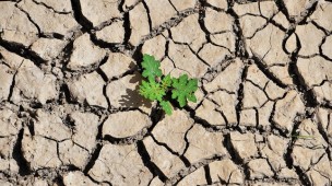 Giornata Mondiale della Terra, la sfida: ridurre drasticamente le emissioni del 45% entro il 2030