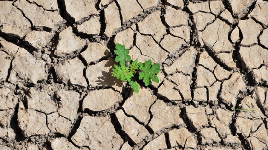 Giornata Mondiale della Terra, la sfida: ridurre drasticamente le emissioni del 45% entro il 2030