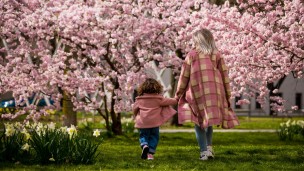 Festa della Mamma, le origini di una storica ricorrenza