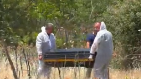 Nessun rapimento, la bimba scomparsa ieri a Catania è stata uccisa dalla madre: la donna ha confessato