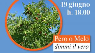 "Pace e guerra", domenica alla biblioteca di Sant'Ippolito ospite la giornalista Susanna Böhme-Kuby