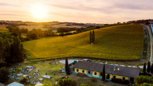 Orchestra Sinfonica Rossini, i prossimi appuntamenti di "Decanto" festival itinerante che unisce musica e vino