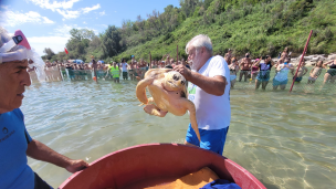 Tutti pazzi per "Paolo", una folla di famiglie ha accolto la prima tartaruga ospite della Baia Flaminia di Pesaro