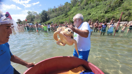 Tutti pazzi per "Paolo", una folla di famiglie ha accolto la prima tartaruga ospite della Baia Flaminia di Pesaro