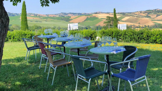 Musica e danza domani alla Cantina Terracruda di Fratte Rosa con il festival itinerante "Decanto"
