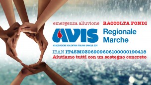 Avis Marche, avviata la raccolta fondi per dare sostegno e aiuto alle aree alluvionate
