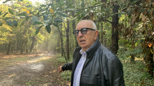 Belloni: "Al  Parco Miralfiore faremo un'operazione straordinaria per liberarlo e renderlo fruibile a tutti"