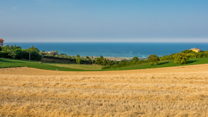 Coldiretti, il Distretto biologico delle Marche riconosciuto dalla Regione: è il più grande d'Europa