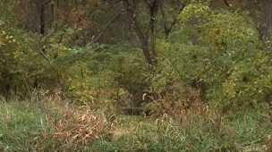 Una donna ha raccontato alla Polizia di come il padre (morto nel 2013) abbia ucciso settanta donne