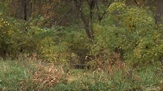 Una donna ha raccontato alla Polizia di come il padre (morto nel 2013) abbia ucciso settanta donne