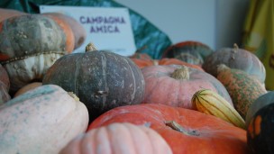 Halloween - Arriva il Zucca Day, Campagna Amica in festa: biodiversità, laboratori e consigli in cucina