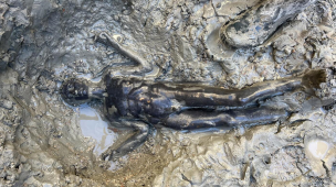 A San Casciano la più grande scoperta dai Bronzi di Riace: ritrovate oltre 24 statue protette per 2300 anni