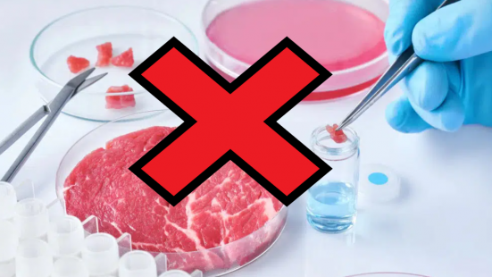 I capigruppo di maggioranza del Consiglio comunale aderiscono alla petizione contro il cibo sintetico